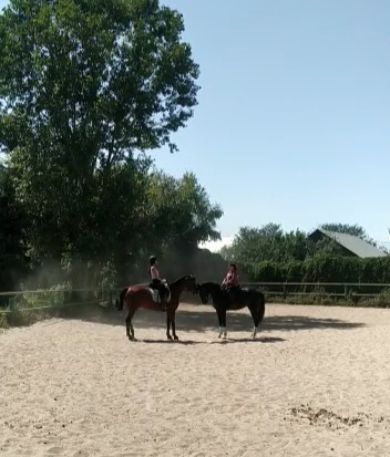 VideoCapture_20220905-234622.jpg