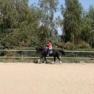 VideoCapture_20220910-202710.jpg