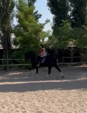 VideoCapture_20220910-202909.jpg