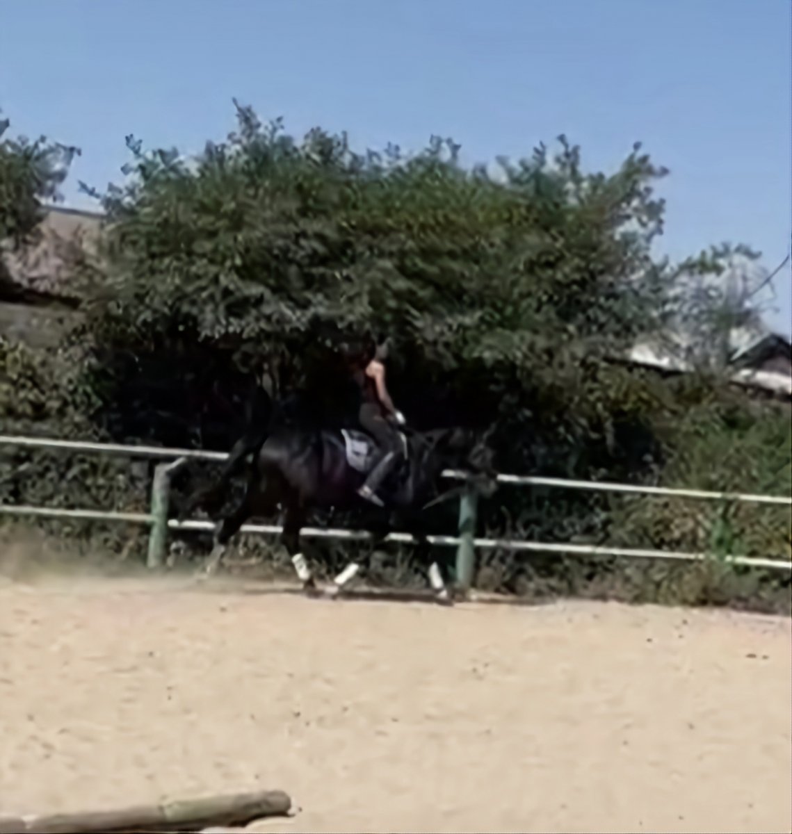 VideoCapture_20220911-093712.jpg