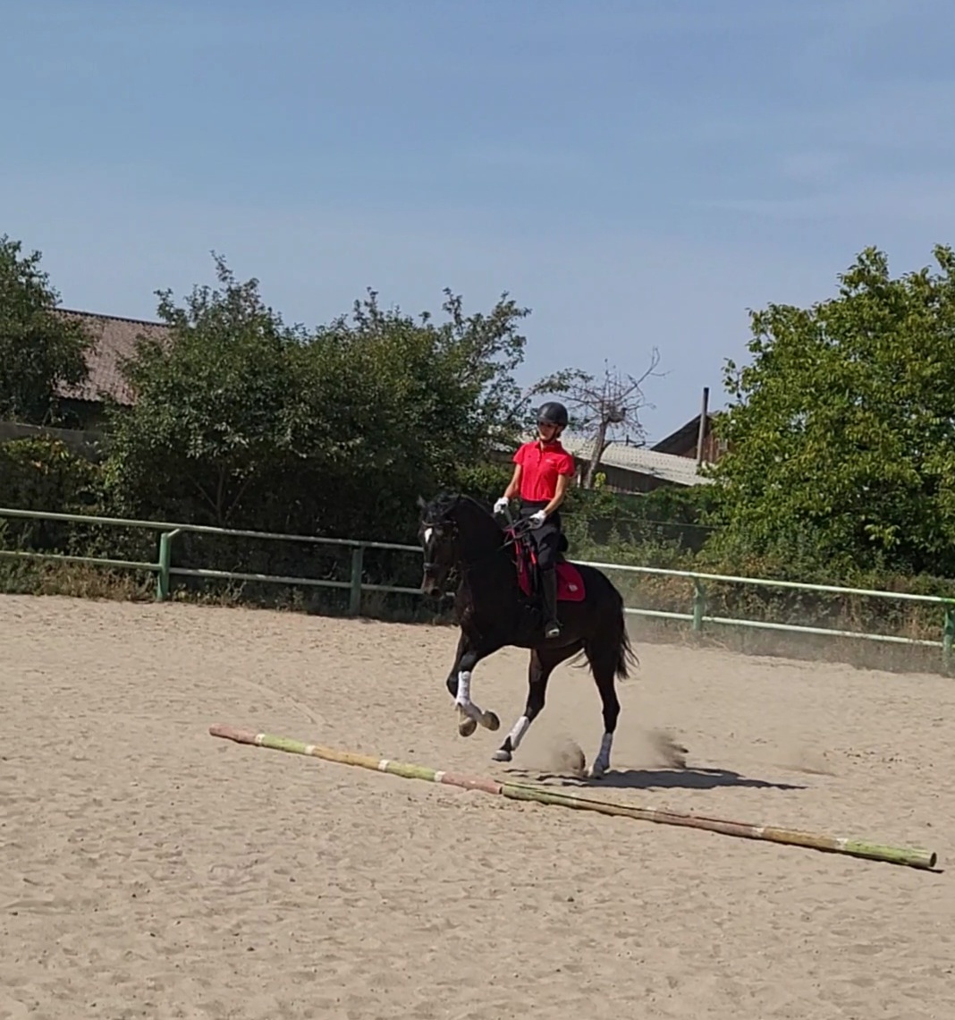VideoCapture_20220919-074134.jpg