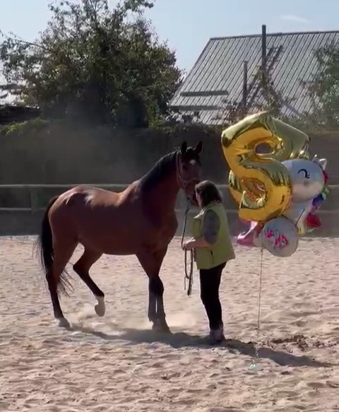 VideoCapture_20220926-013307.jpg