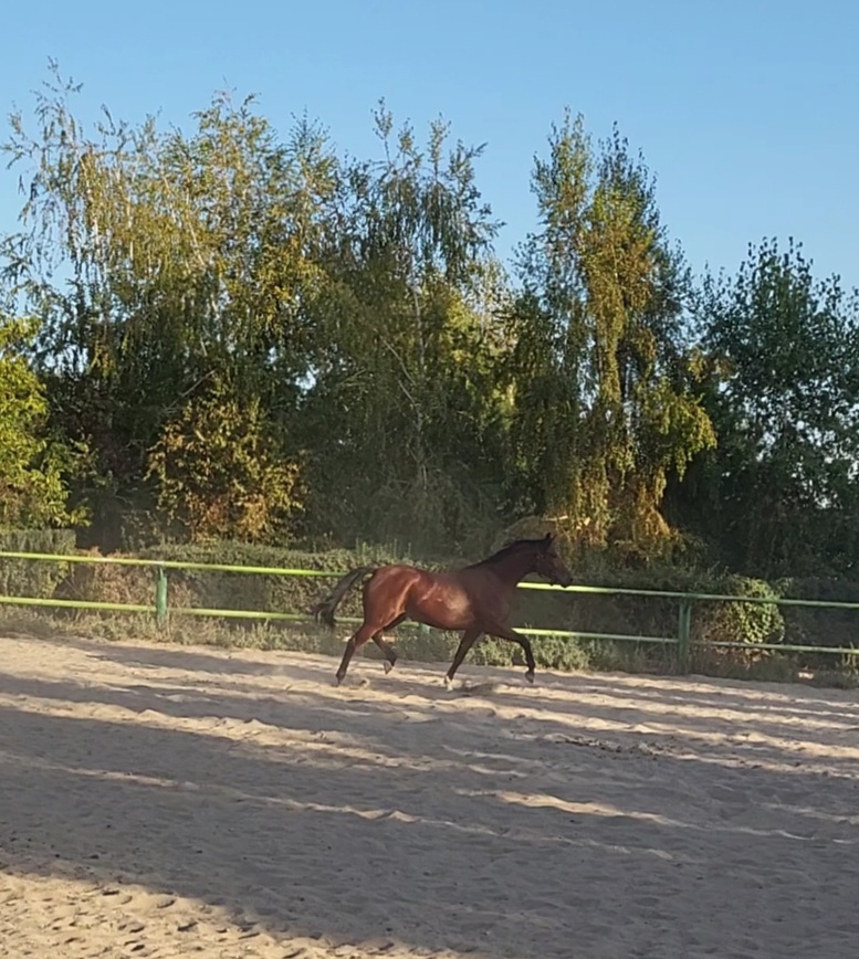 VideoCapture_20220926-084354.jpg