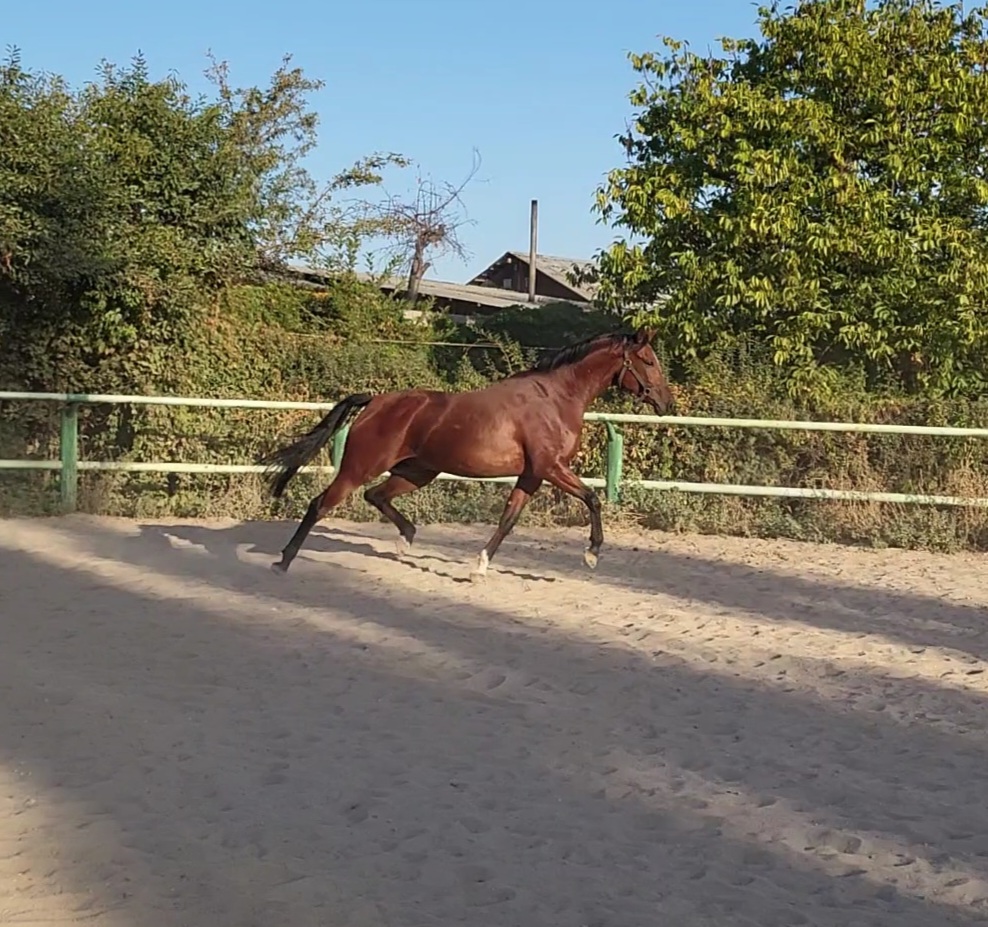 VideoCapture_20220926-084440.jpg