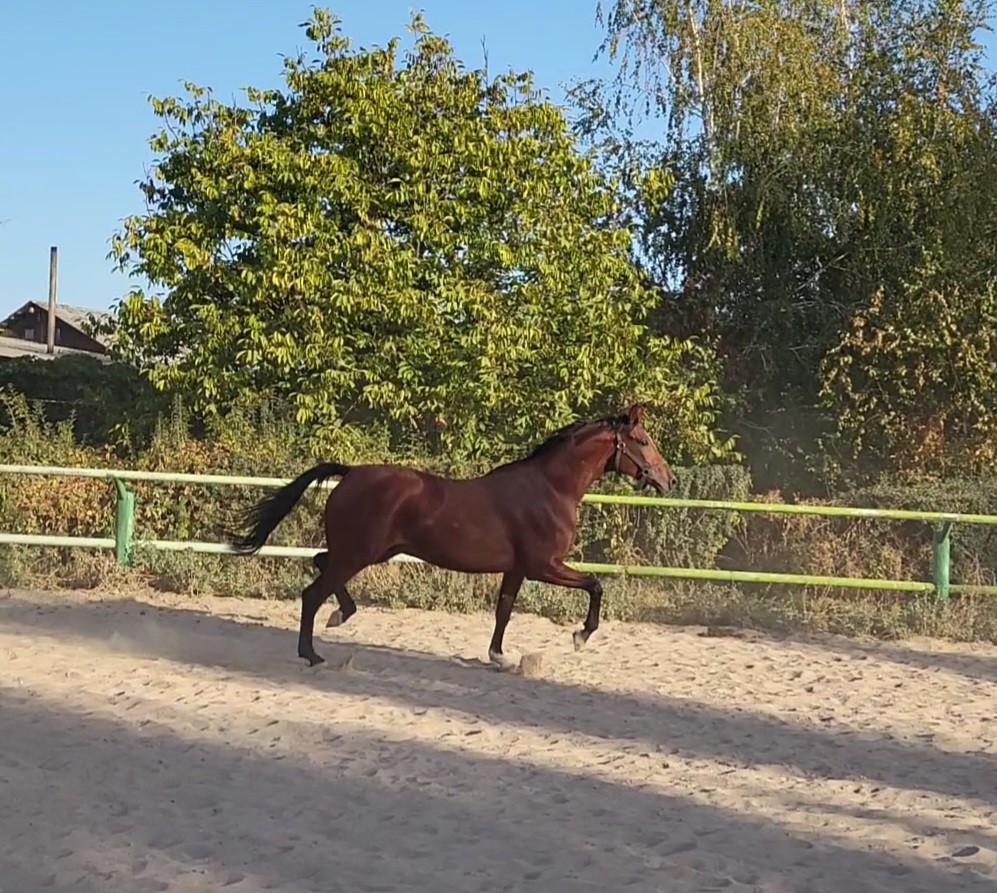 VideoCapture_20220926-084514.jpg