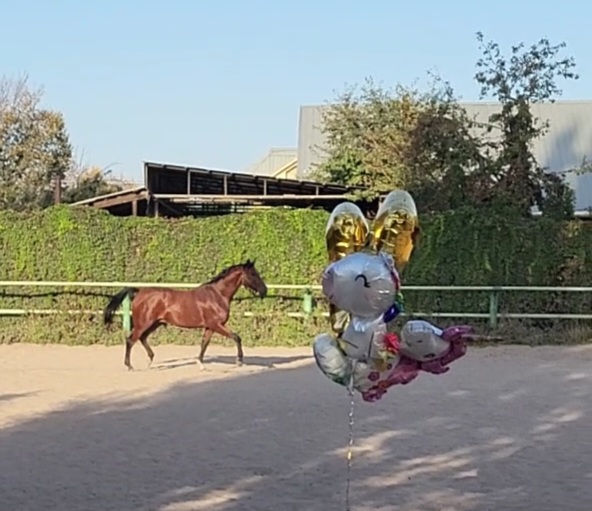 VideoCapture_20220926-084646.jpg