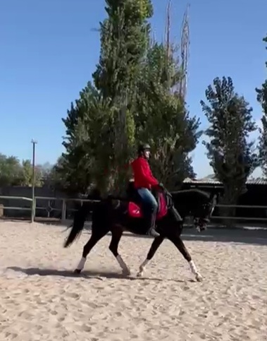 VideoCapture_20221002-232304.jpg