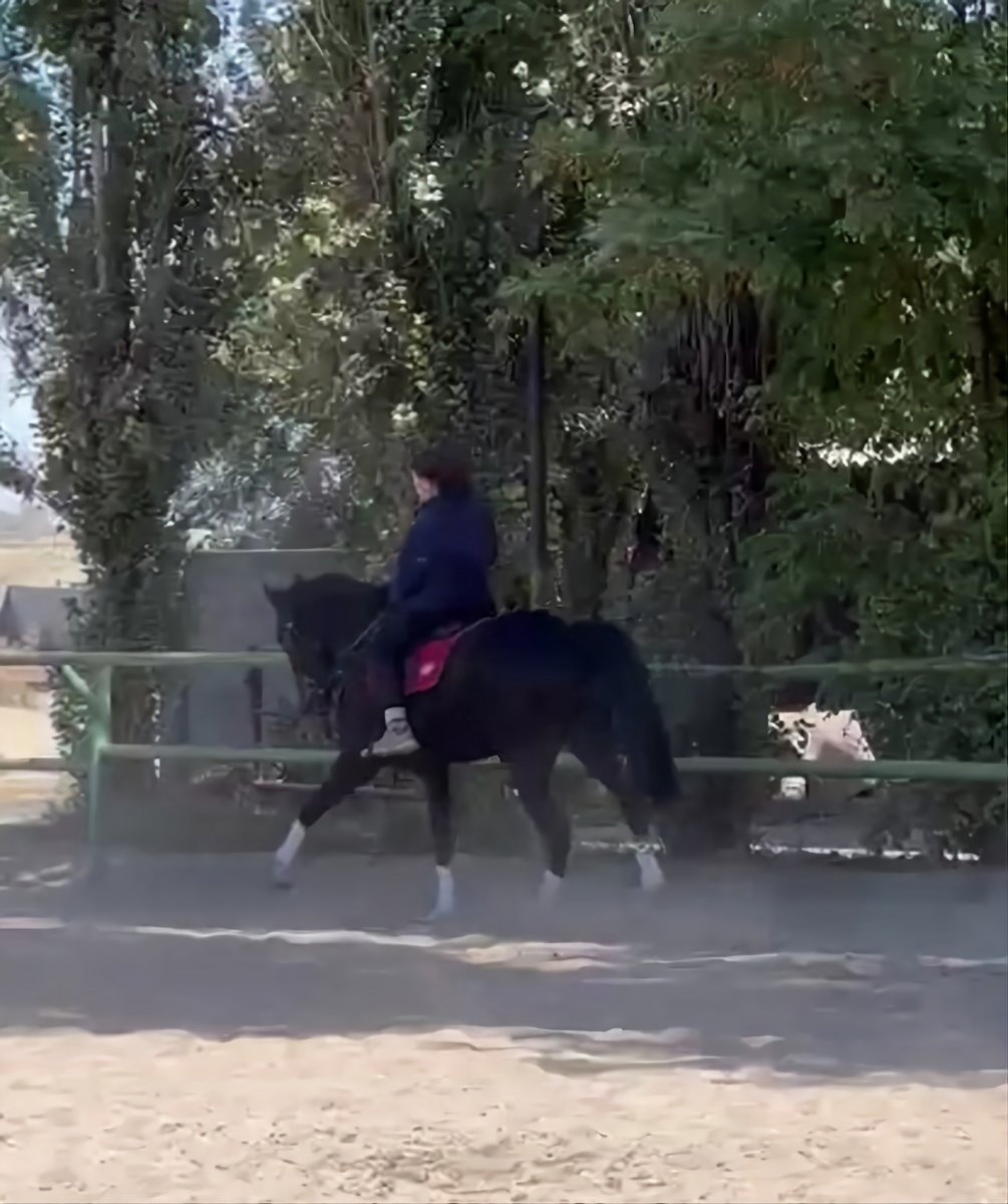 VideoCapture_20221002-232858.jpg