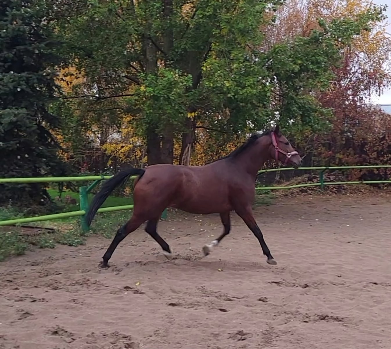 VideoCapture_20221019-105618.jpg