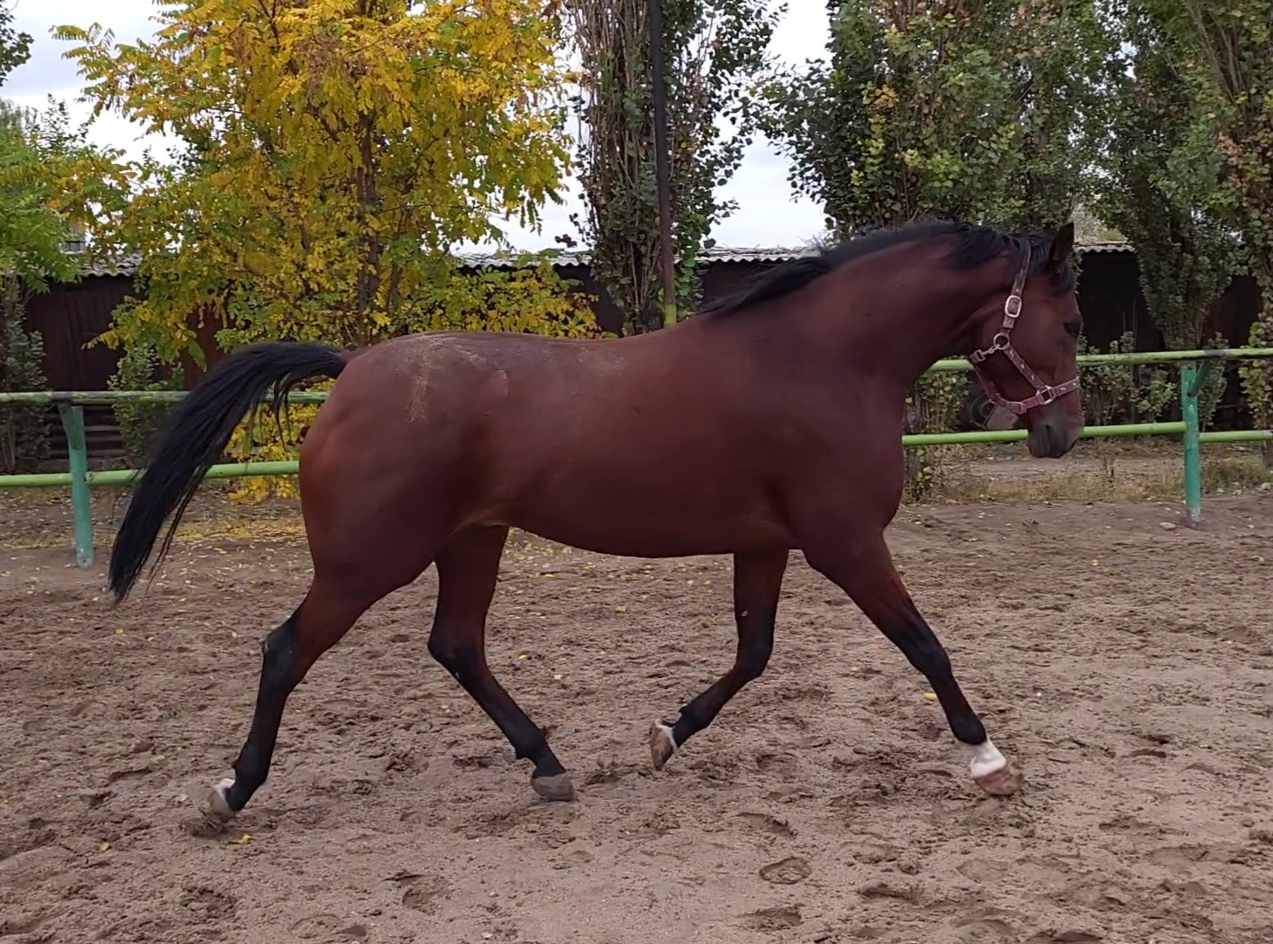 VideoCapture_20221019-141501.jpg