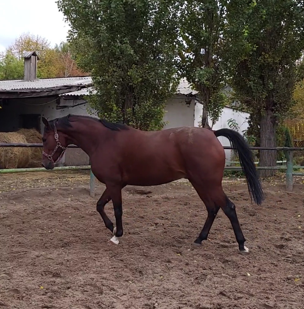 VideoCapture_20221019-141537.jpg