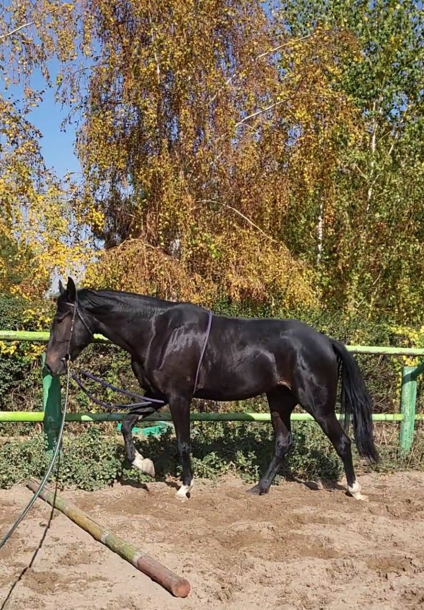 VideoCapture_20221021-141746.jpg