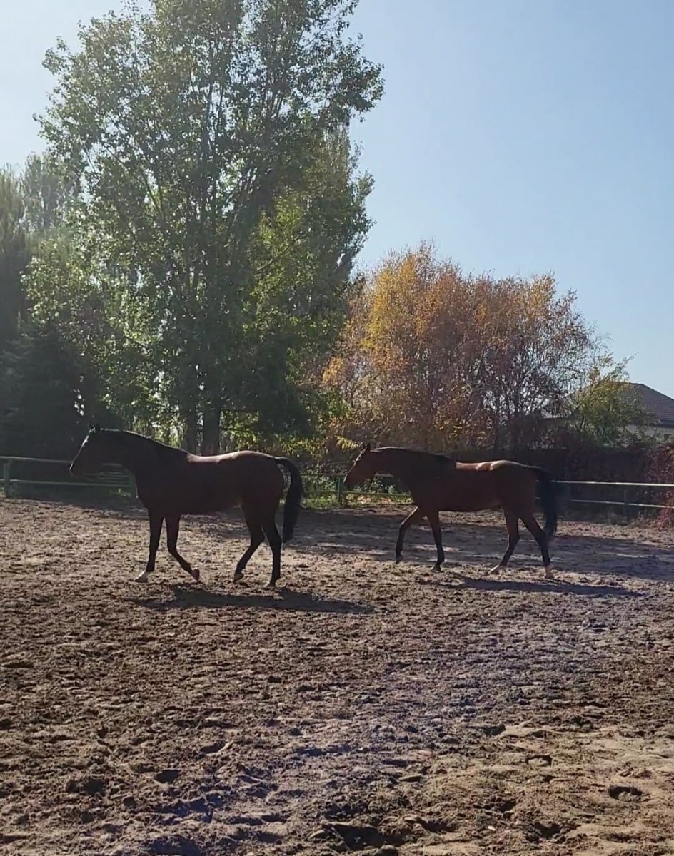 VideoCapture_20221021-142150.jpg