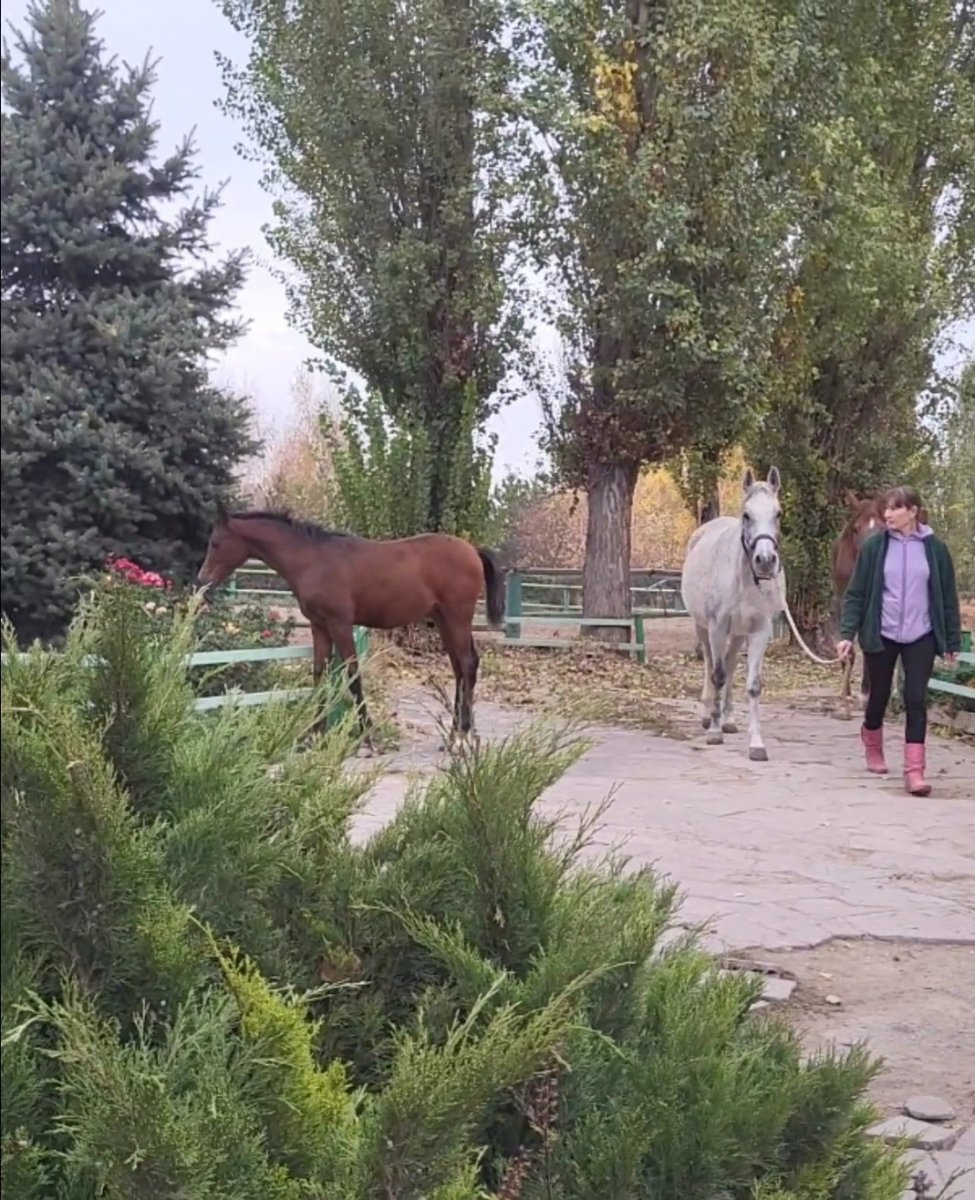 VideoCapture_20221031-091919.jpg