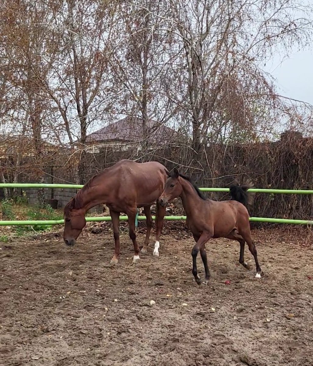 VideoCapture_20221031-091949.jpg