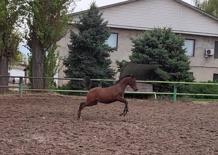 VideoCapture_20221031-092507.jpg