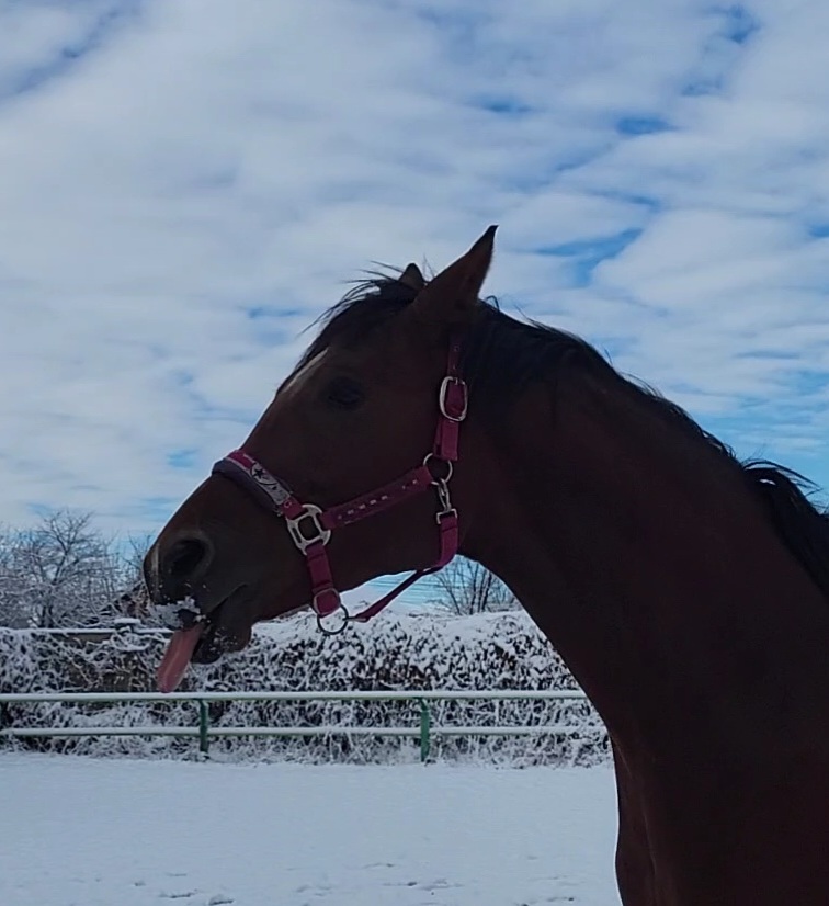 VideoCapture_20221117-141520.jpg