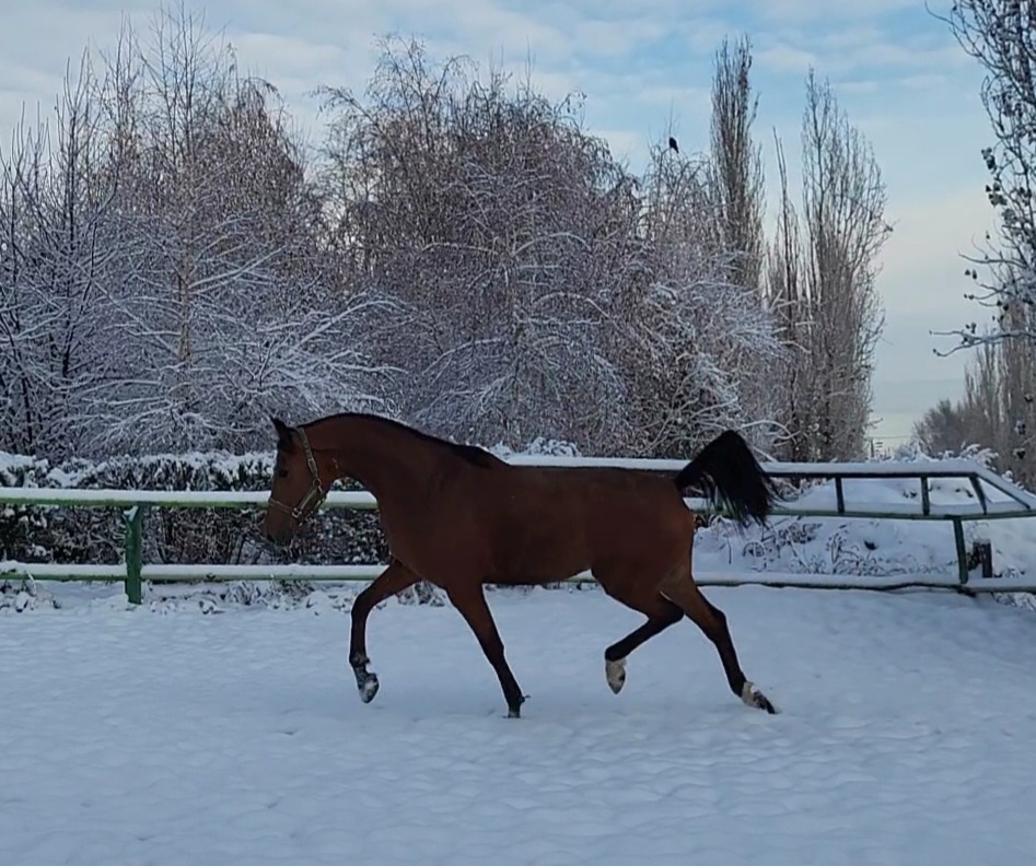 VideoCapture_20221117-141705.jpg