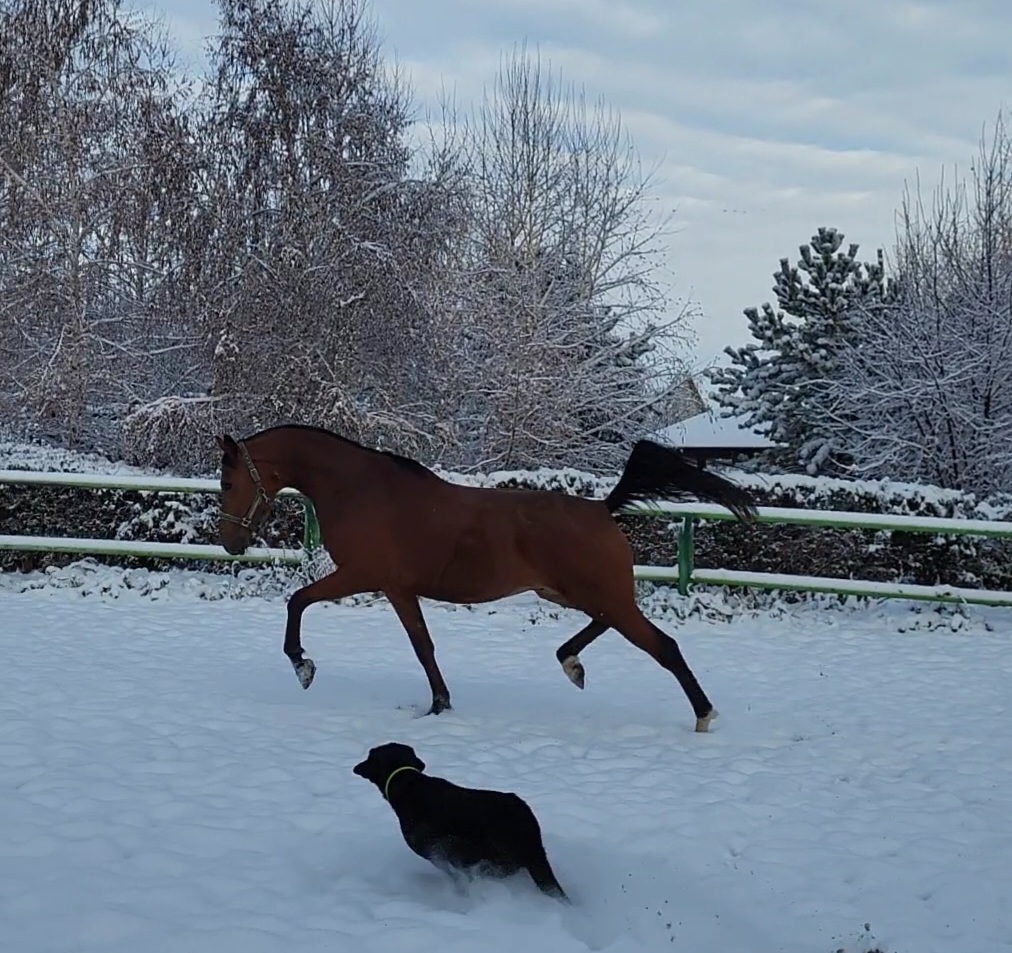 VideoCapture_20221117-141739.jpg