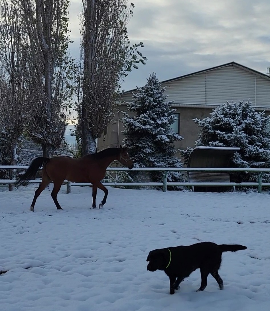 VideoCapture_20221117-141839.jpg