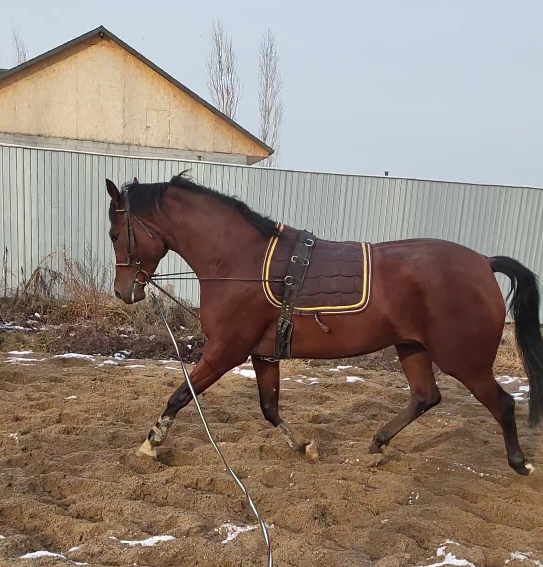 VideoCapture_20221118-210350.jpg