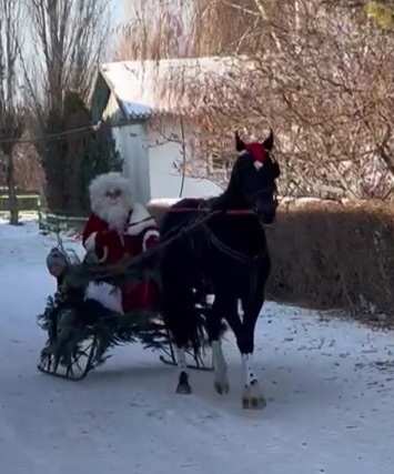 VideoCapture_20221214-074231.jpg