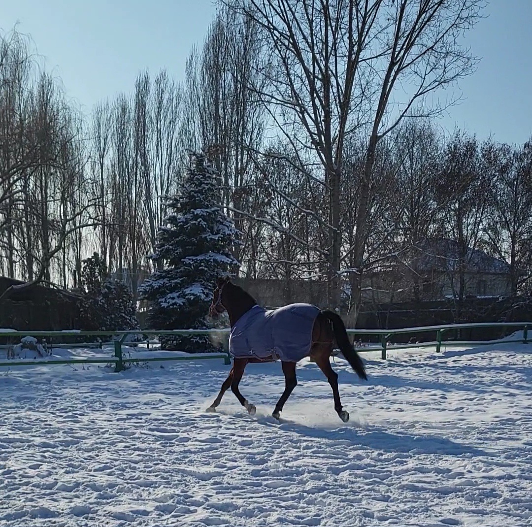 VideoCapture_20230113-170305.jpg