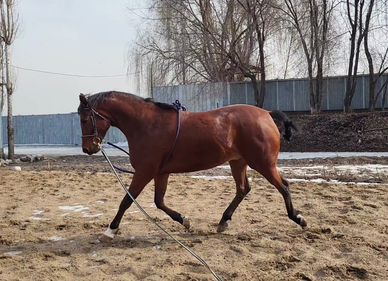VideoCapture_20230223-143111.jpg