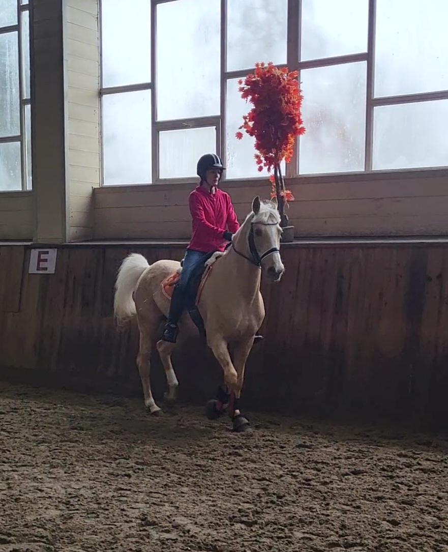 VideoCapture_20230304-124839.jpg