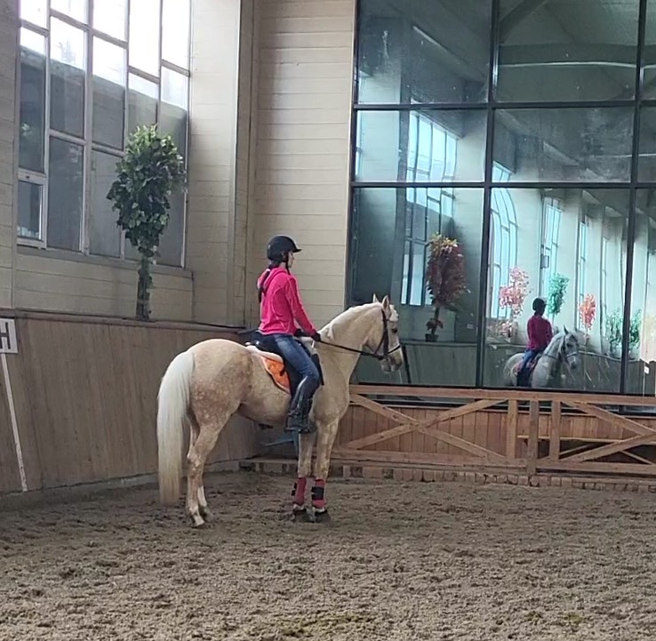VideoCapture_20230304-125211.jpg
