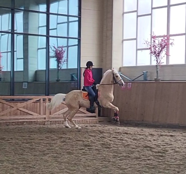 VideoCapture_20230304-125400.jpg
