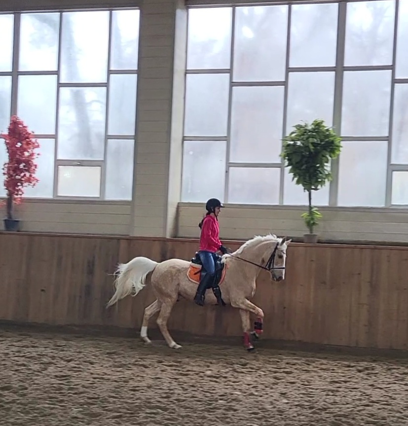 VideoCapture_20230304-125448.jpg