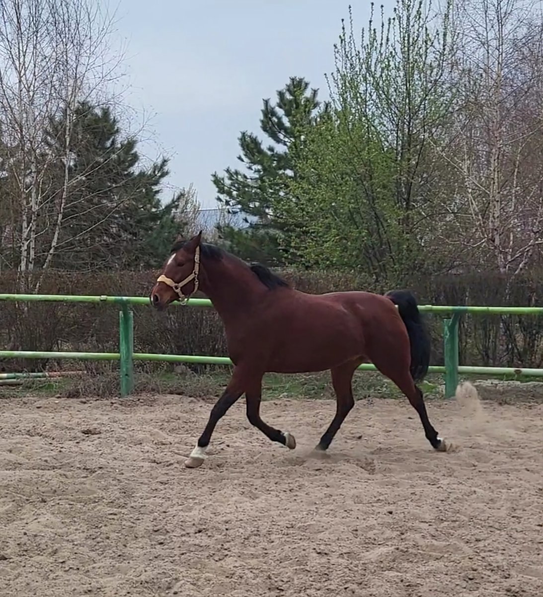 VideoCapture_20230330-123159.jpg