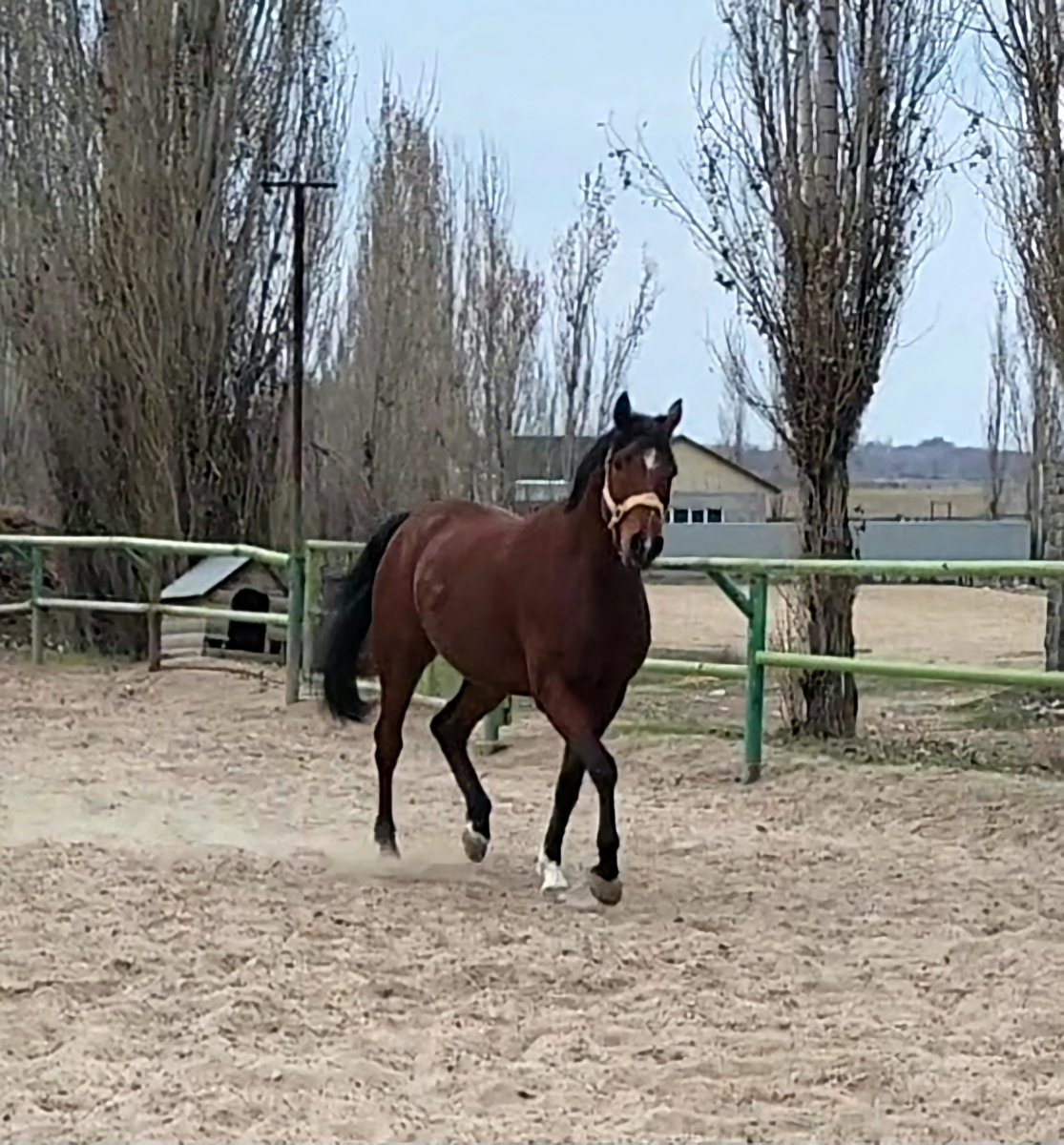 VideoCapture_20230330-123314.jpg