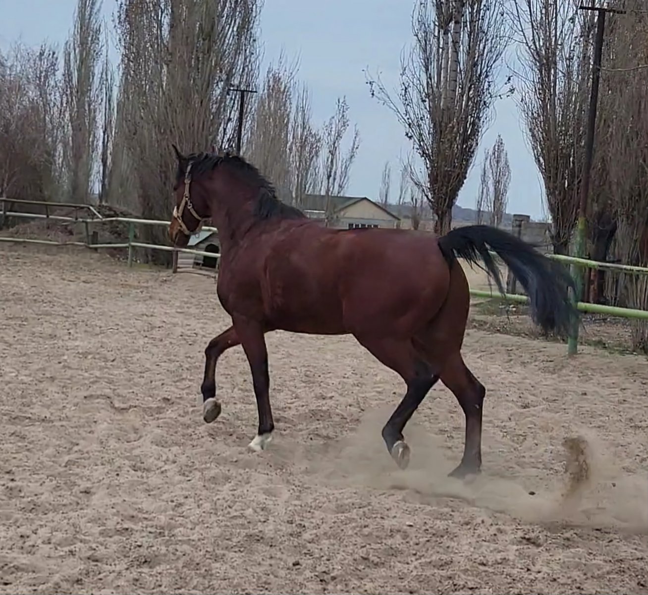 VideoCapture_20230330-123441.jpg