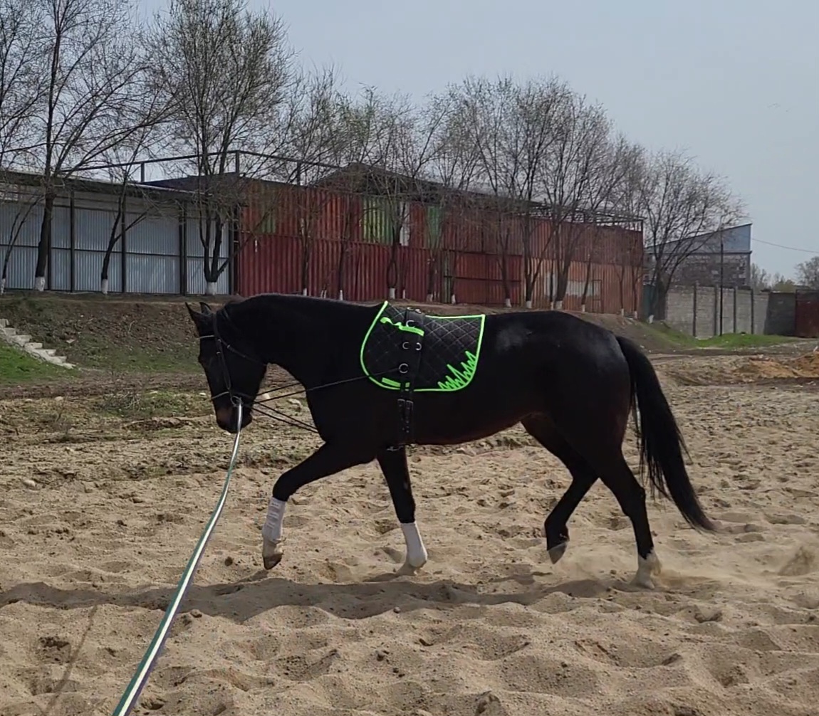 VideoCapture_20230406-231159.jpg