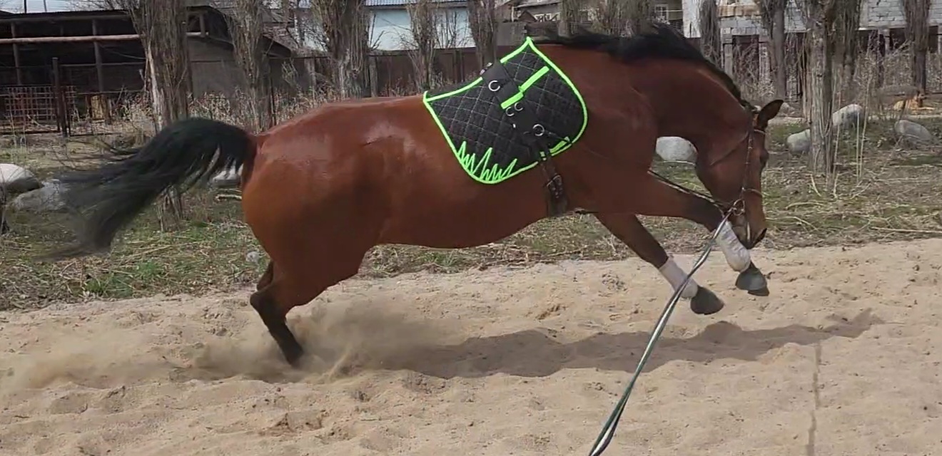 VideoCapture_20230406-235814.jpg