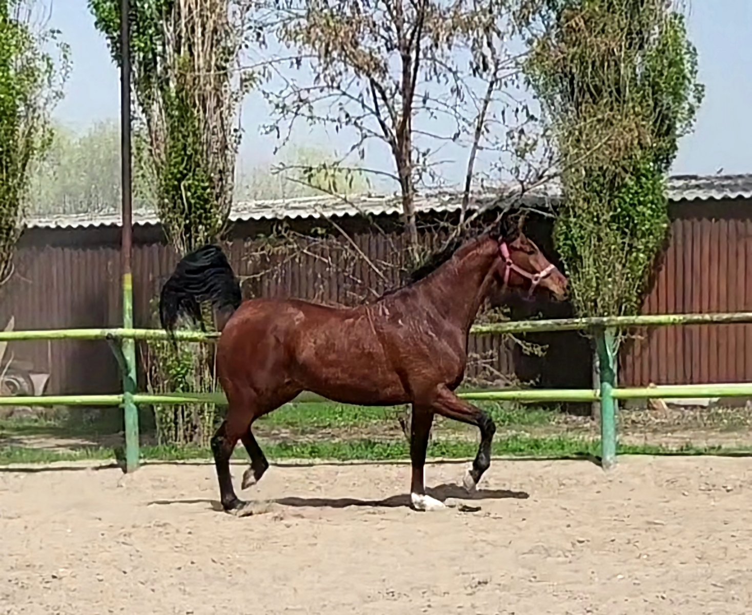 VideoCapture_20230428-161504.jpg