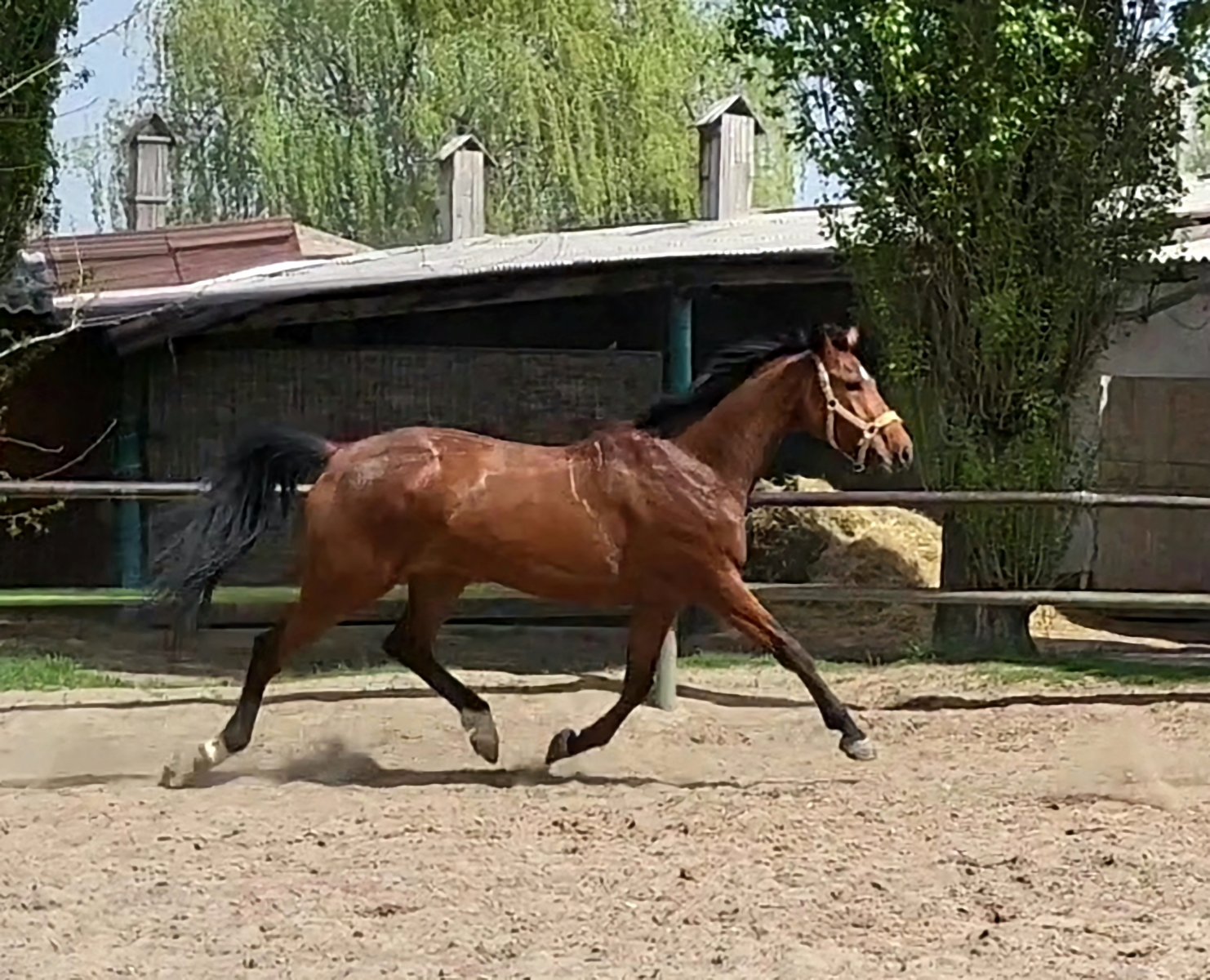 VideoCapture_20230428-161556.jpg