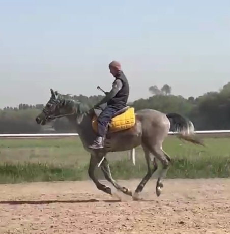 VideoCapture_20230512-100514.jpg