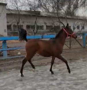 VideoCapture_20230512-102839.jpg