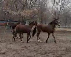 VideoCapture_20230512-103007.jpg
