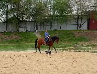 VideoCapture_20230512-202828.jpg