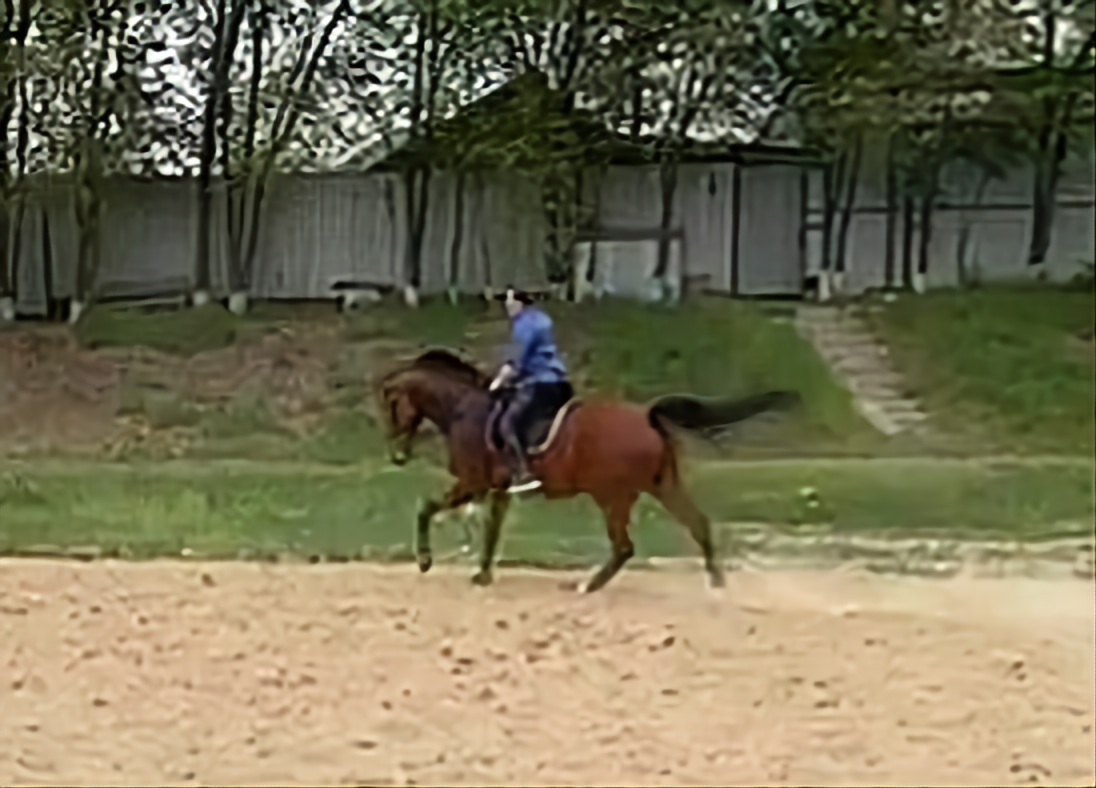 VideoCapture_20230512-203228.jpg