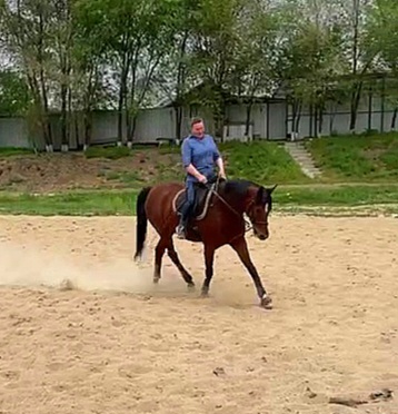 VideoCapture_20230512-205108.jpg
