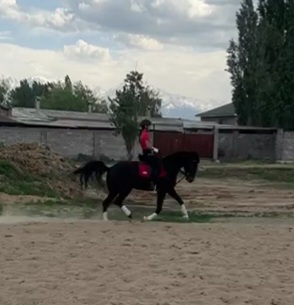 VideoCapture_20230517-092918.jpg