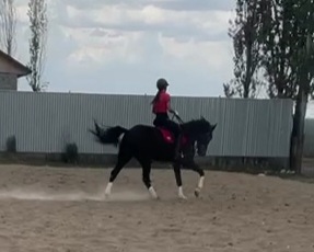 VideoCapture_20230517-093122.jpg