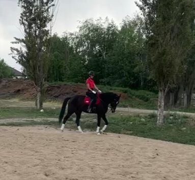 VideoCapture_20230517-093204.jpg