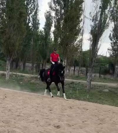 VideoCapture_20230517-093228.jpg