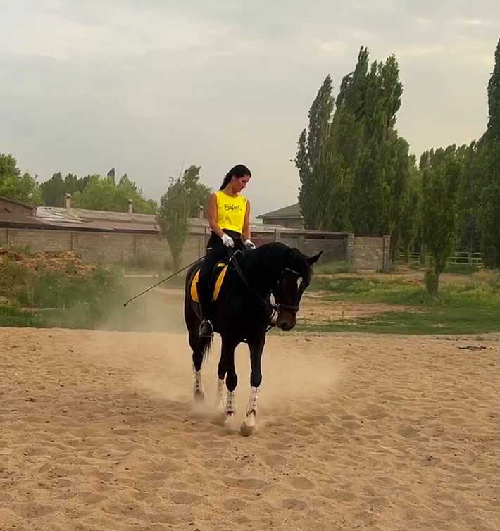 VideoCapture_20230612-120642.jpg